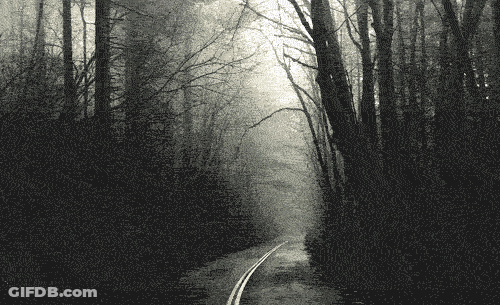 A Black And White Photo Of A Road Going Through The Woods GIF