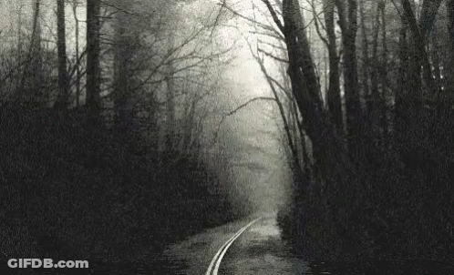 A Black And White Photo Of A Road In The Middle Of A Forest . GIF