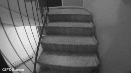 A Black And White Photo Of A Set Of Stairs With A Metal Railing GIF