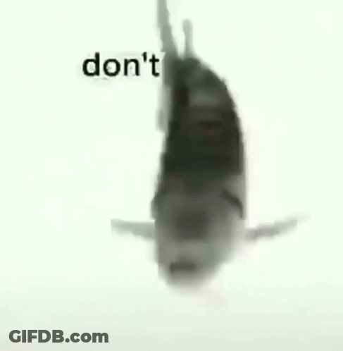 A Black And White Photo Of A Shark With The Words `` Don 'T Cry '' Written On It . GIF
