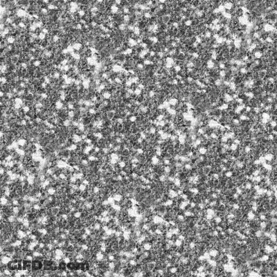 A Black And White Photo Of A Silver Glitter Background GIF