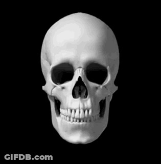 A Black And White Photo Of A Skull With Teeth GIF