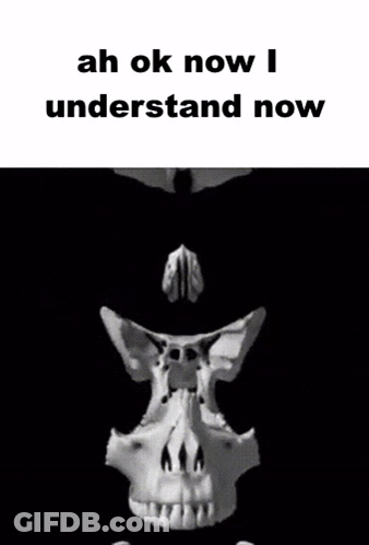 A Black And White Photo Of A Skull With The Words Ah Ok Now I Understand Now Below It GIF