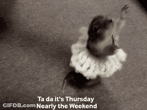 A Black And White Photo Of A Squirrel With The Words Ta Da It 'S Thursday Nearly The Weekend Above It GIF