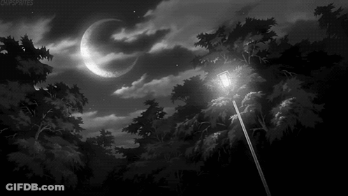 A Black And White Photo Of A Street Light In A Dark Forest With A Crescent Moon In The Background . GIF