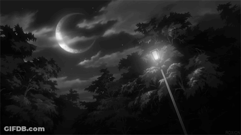 A Black And White Photo Of A Street Light With A Crescent Moon In The Sky GIF