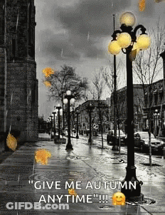 A Black And White Photo Of A Street With The Words " Give Me Autumn Anytime " Written On It GIF