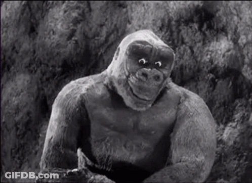A Black And White Photo Of A Stuffed Gorilla Sitting On A Rock . GIF