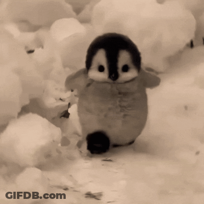 A Black And White Photo Of A Stuffed Penguin Walking In The Snow GIF
