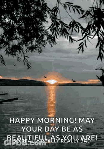 A Black And White Photo Of A Sunset Over A Body Of Water GIF