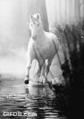 A Black And White Photo Of A Unicorn Running Through A Body Of Water GIF