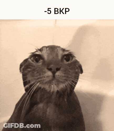 A Black And White Photo Of A Wet Cat With -5 Bkp Written Below It GIF