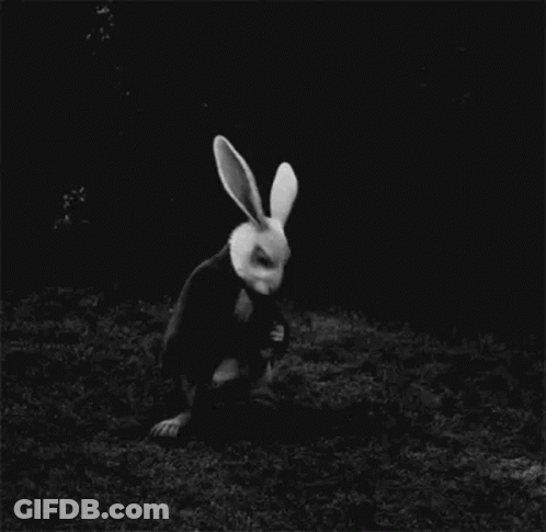 A Black And White Photo Of A White Rabbit Wearing A Mask In The Dark . GIF