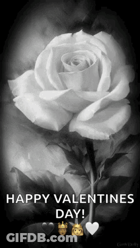 A Black And White Photo Of A White Rose With The Words Happy Valentines Day Below It GIF