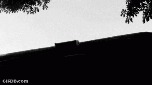 A Black And White Photo Of A Window On A Building GIF