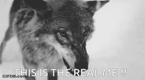 A Black And White Photo Of A Wolf With The Caption `` This Is The Real Me ! '' GIF
