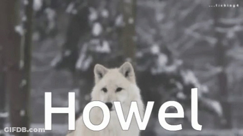 A Black And White Photo Of A Wolf With The Word Howel Written Below It GIF