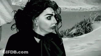 A Black And White Photo Of A Woman In A Black Dress Standing In Front Of A Beach . GIF