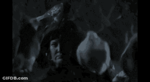 A Black And White Photo Of A Woman In A Witch Hat Holding A Candle . GIF