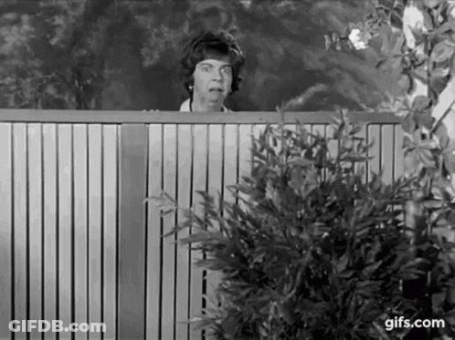 A Black And White Photo Of A Woman Peeking Over A Fence . GIF
