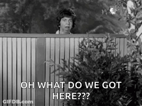 A Black And White Photo Of A Woman Peeking Over A Fence With The Words `` Oh What Do We Got Here ? '' GIF