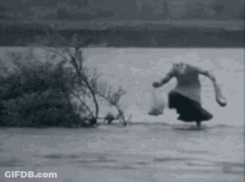 A Black And White Photo Of A Woman Walking On A Frozen Lake . GIF