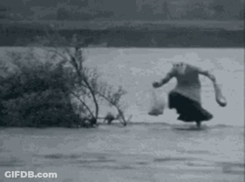 A Black And White Photo Of A Woman Walking On A Frozen Lake . GIF