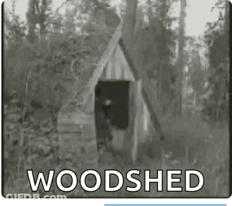 A Black And White Photo Of A Woodshed In The Woods GIF