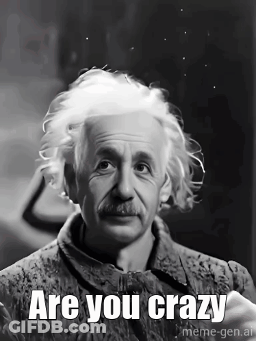A Black And White Photo Of Albert Einstein With The Caption Are You Crazy Meme-Gen.ai GIF