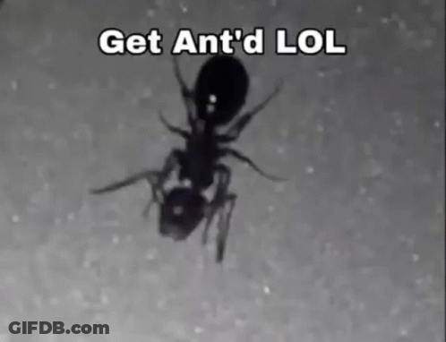 A Black And White Photo Of An Ant With The Words Get Ant 'D LOL Below It GIF