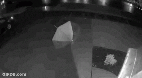 A Black And White Photo Of An Umbrella Floating On Top Of A Pool Of Water . GIF