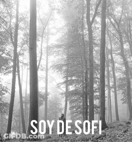 A Black And White Photo Of Trees With The Words Soy De Sofi GIF