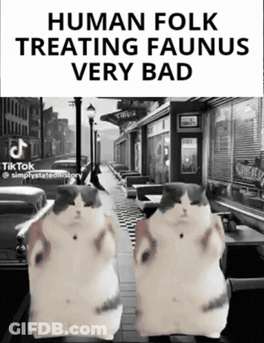 A Black And White Photo Of Two Cats With The Caption " Human Folk Treating Faunus Very Bad " On The Bottom GIF