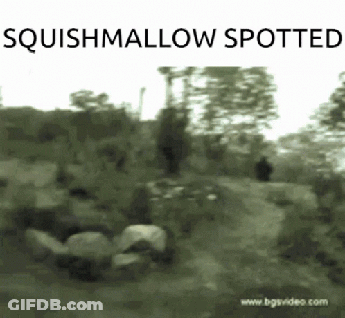 A Black And White Photo With The Words Squishmallow Spotted On The Bottom GIF