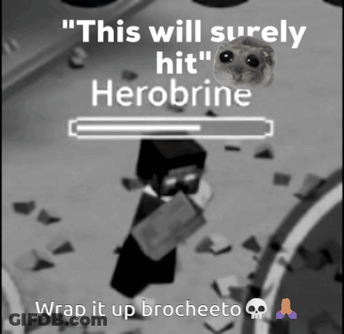 A Black And White Photo With The Words " This Will Surely Hit Herobrine " GIF