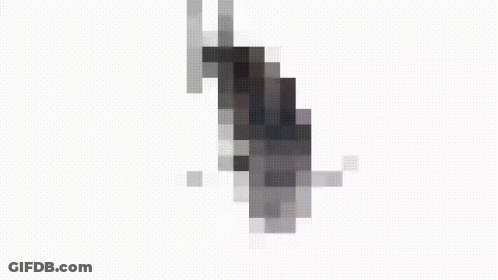 A Black And White Pixel Art Of A Dolphin On A White Background GIF
