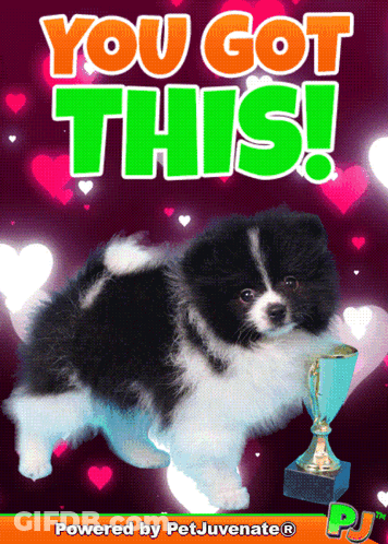 A Black And White Pomeranian Puppy Is Surrounded By Hearts And The Words " You Got This " GIF