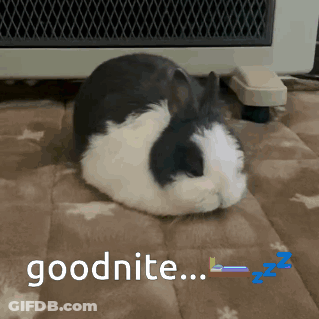 A Black And White Rabbit Is Laying On A Blanket With The Words Goodnite Written On It GIF
