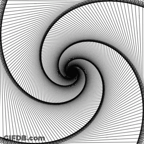 A Black And White Spiral On A White Background . GIF