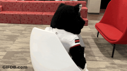 A Black And White Stuffed Animal Wearing A Shirt That Says ' Tc ' On It Sits In A Chair GIF