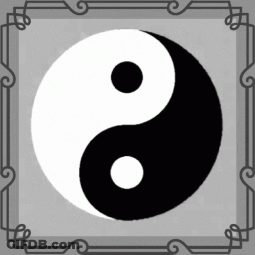 A Black And White Yin Yang Symbol With A Gray Frame Around It GIF