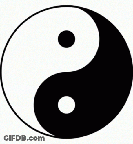 A Black And White Yin Yang Symbol With Two Circles In It GIF