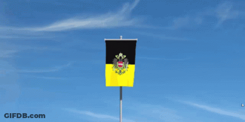 A Black And Yellow Flag With A Coat Of Arms Is Flying In The Wind GIF