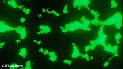 A Black Background With A Lot Of Green Spots GIF