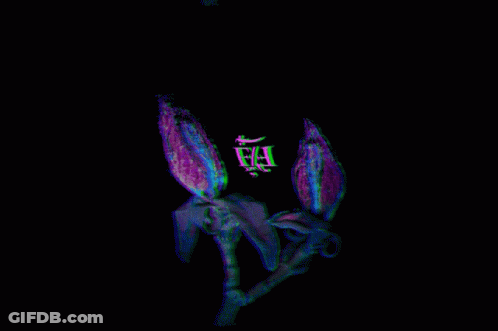 A Black Background With A Purple Flower And The Letter Fa GIF