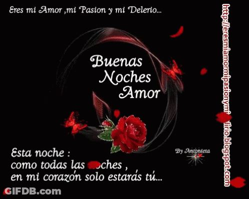 A Black Background With A Red Rose And Butterflies And The Words Buenas Noches Amor GIF