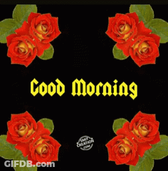 A Black Background With Red Roses And Green Leaves And The Words Good Morning GIF