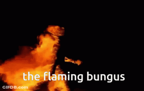A Black Background With The Flaming Bungus Written In White GIF