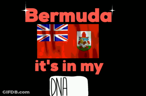 A Black Background With The Words Bermuda It 'S In My Dna On It GIF