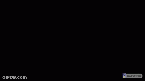 Roar Studio Available In Gif GIF
